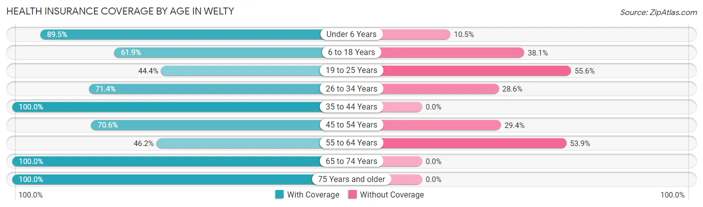 Health Insurance Coverage by Age in Welty