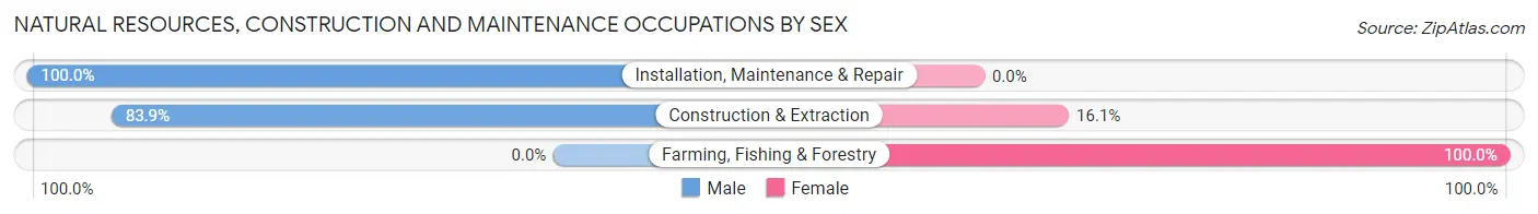 Natural Resources, Construction and Maintenance Occupations by Sex in Wewoka