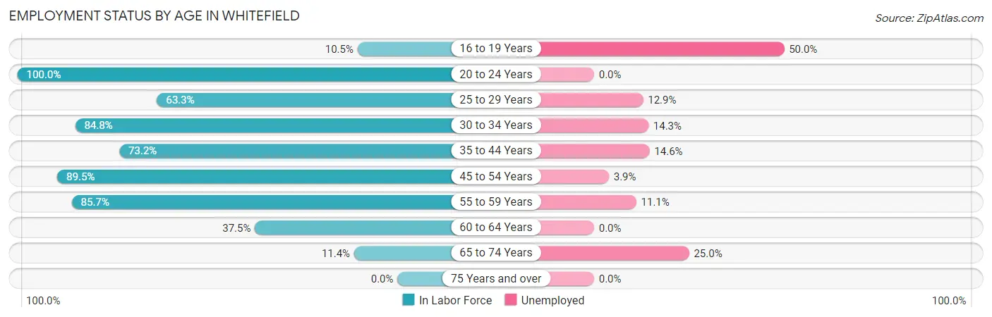 Employment Status by Age in Whitefield