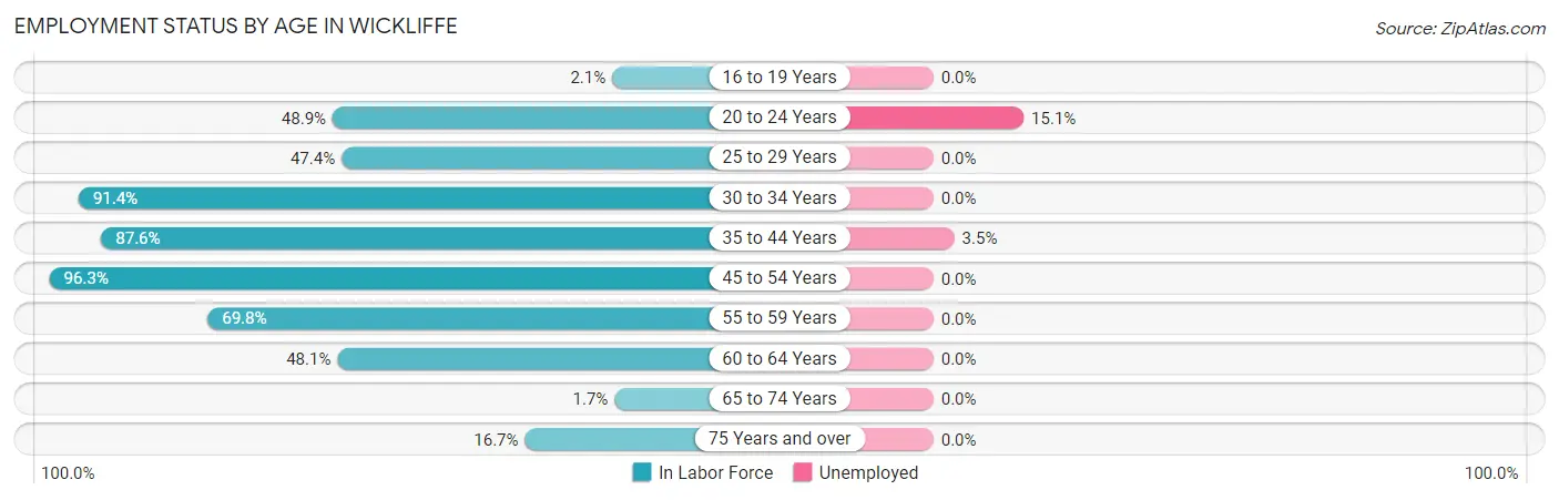 Employment Status by Age in Wickliffe