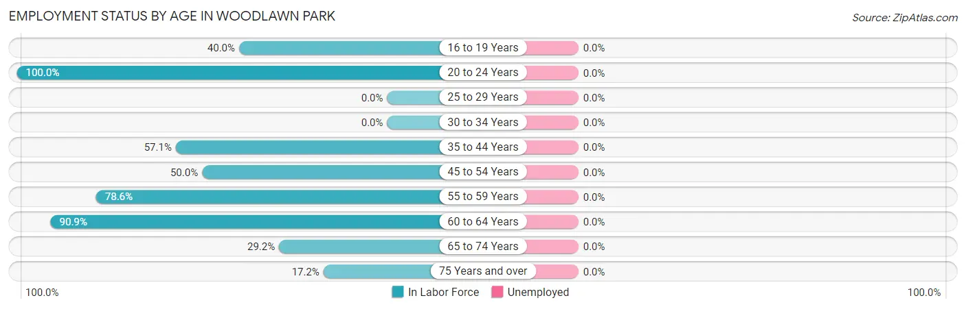Employment Status by Age in Woodlawn Park
