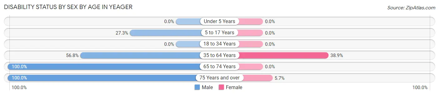 Disability Status by Sex by Age in Yeager