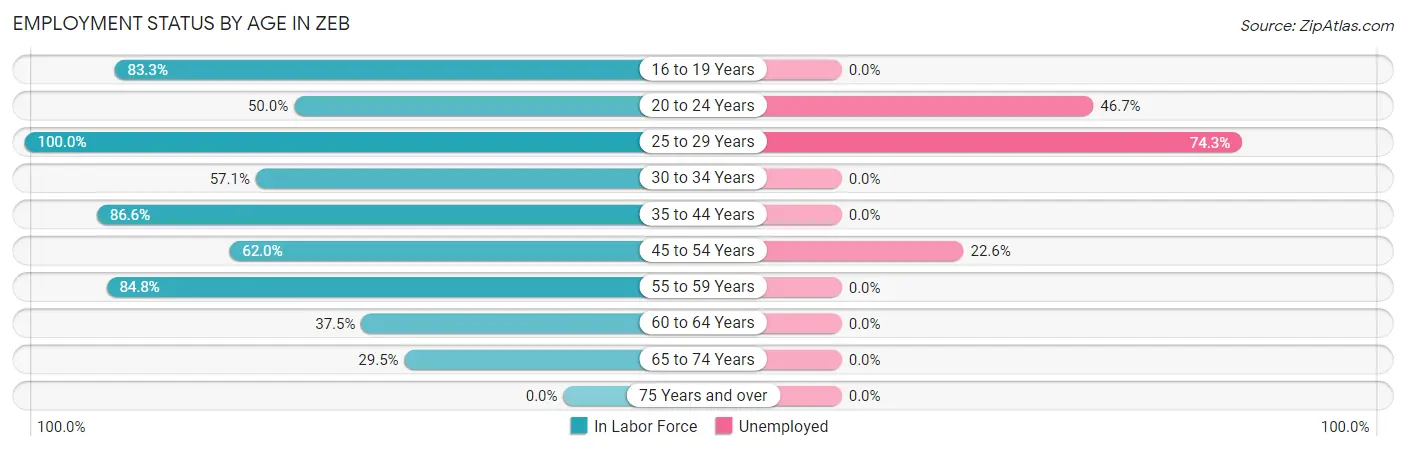 Employment Status by Age in Zeb