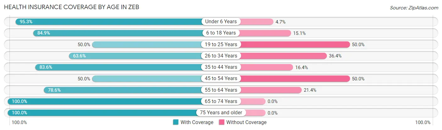 Health Insurance Coverage by Age in Zeb