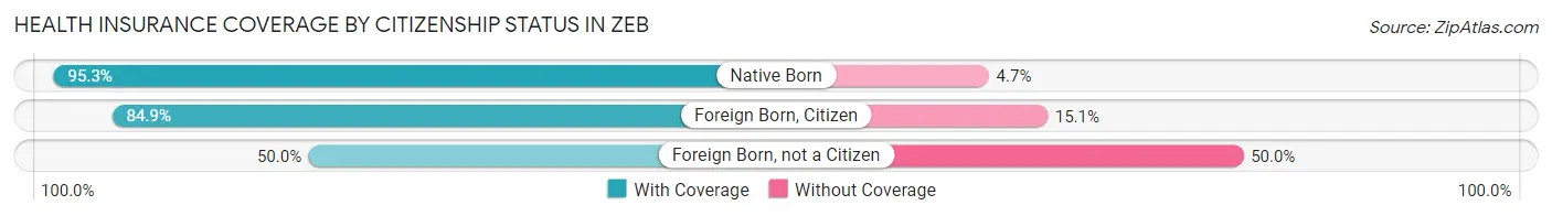 Health Insurance Coverage by Citizenship Status in Zeb