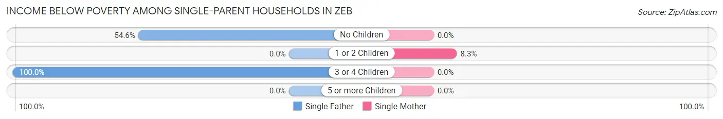 Income Below Poverty Among Single-Parent Households in Zeb