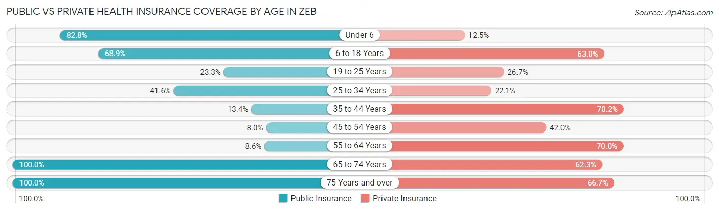 Public vs Private Health Insurance Coverage by Age in Zeb