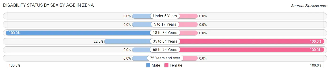 Disability Status by Sex by Age in Zena