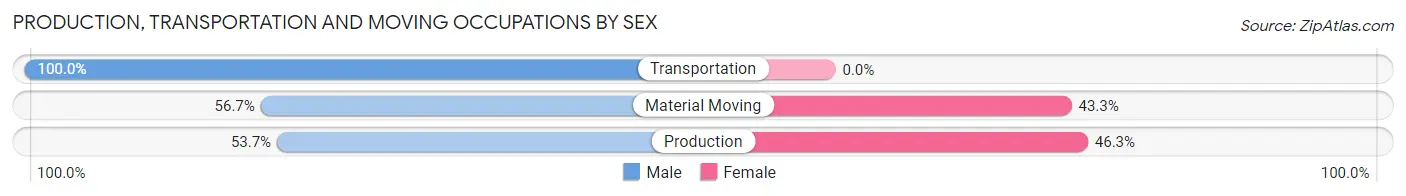 Production, Transportation and Moving Occupations by Sex in Baker City