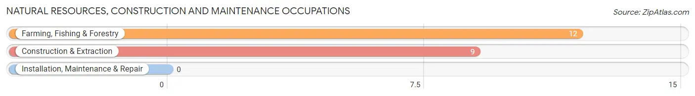 Natural Resources, Construction and Maintenance Occupations in Bayshore