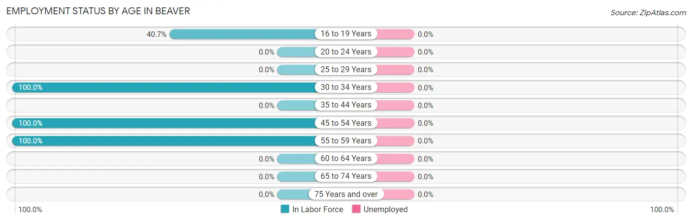 Employment Status by Age in Beaver