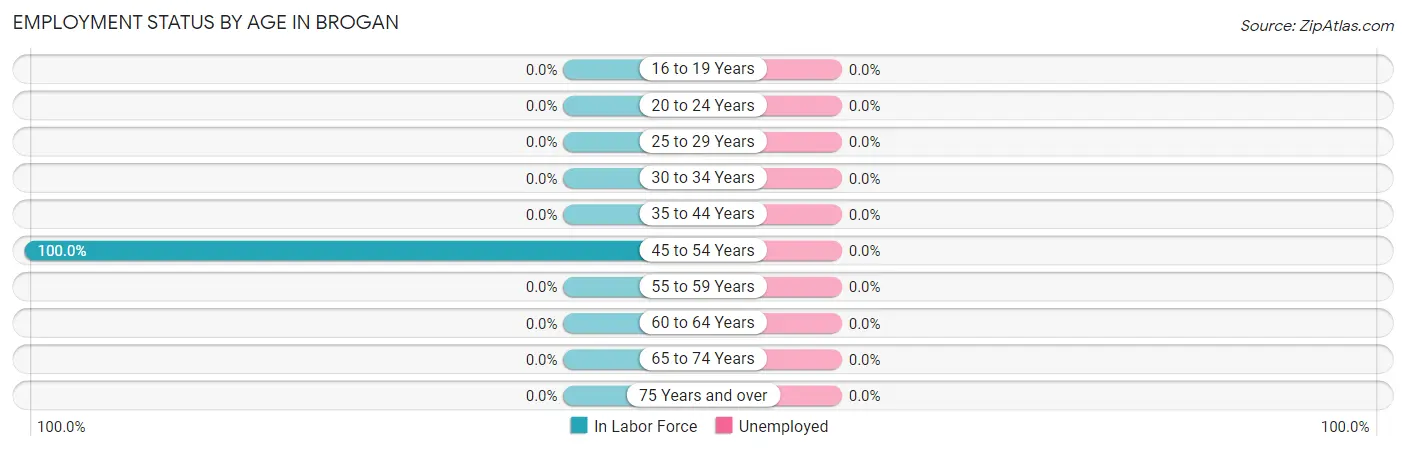 Employment Status by Age in Brogan