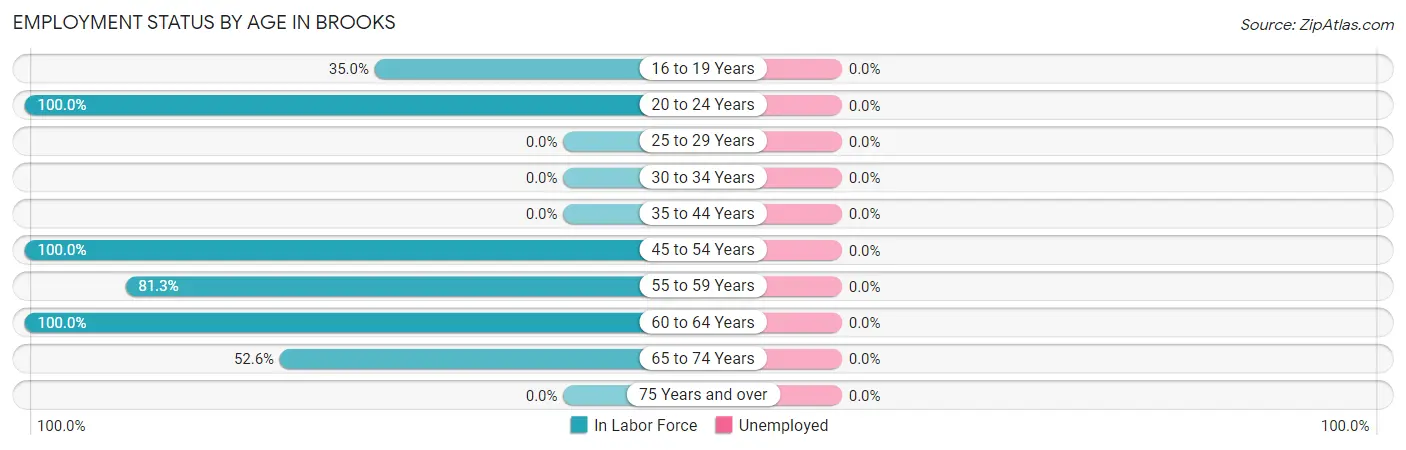Employment Status by Age in Brooks