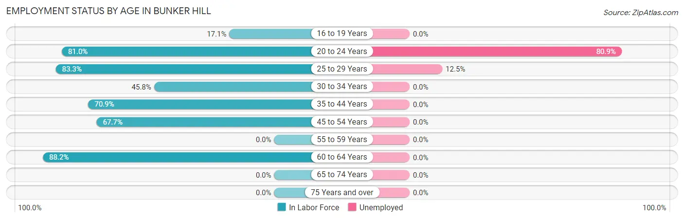 Employment Status by Age in Bunker Hill