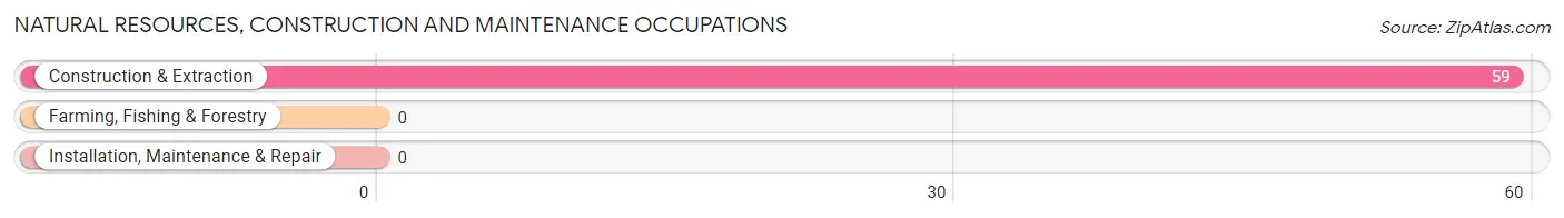 Natural Resources, Construction and Maintenance Occupations in Bunker Hill