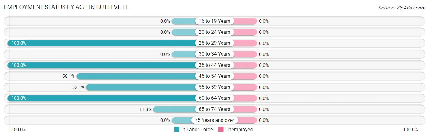 Employment Status by Age in Butteville