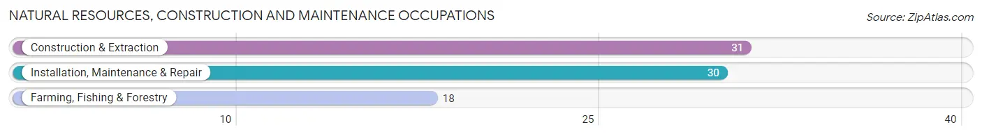 Natural Resources, Construction and Maintenance Occupations in Canyonville