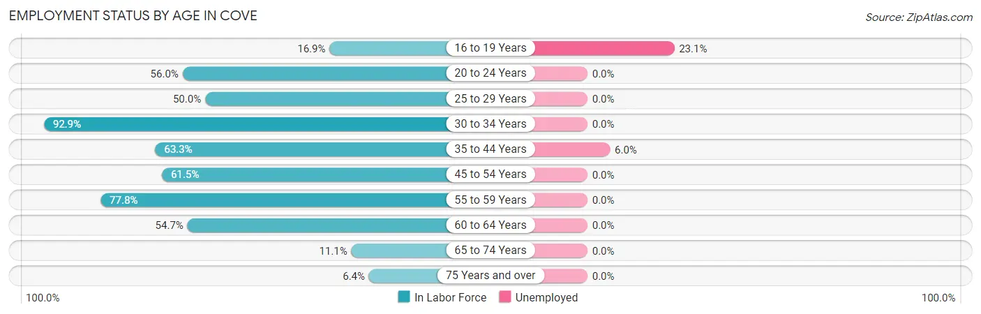 Employment Status by Age in Cove