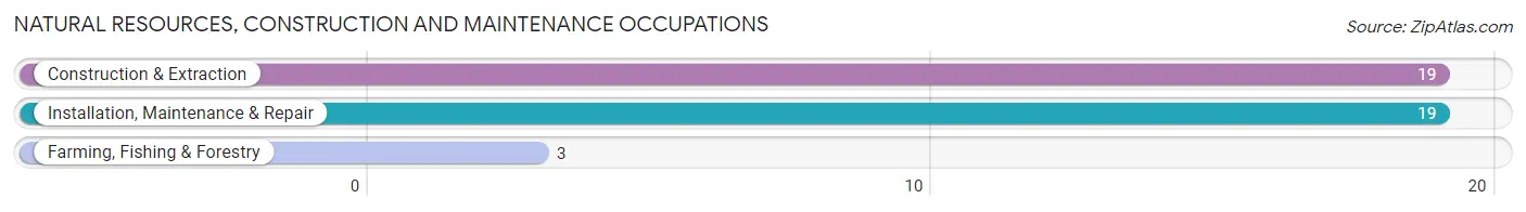 Natural Resources, Construction and Maintenance Occupations in Cove