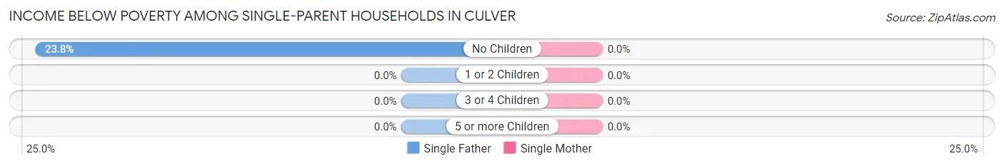 Income Below Poverty Among Single-Parent Households in Culver