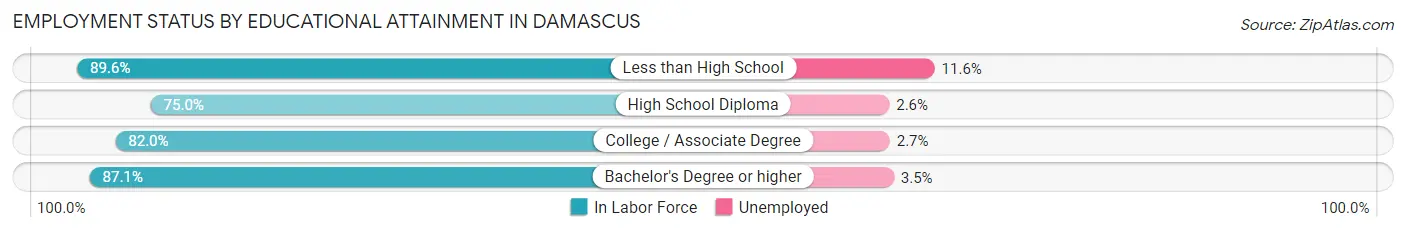 Employment Status by Educational Attainment in Damascus