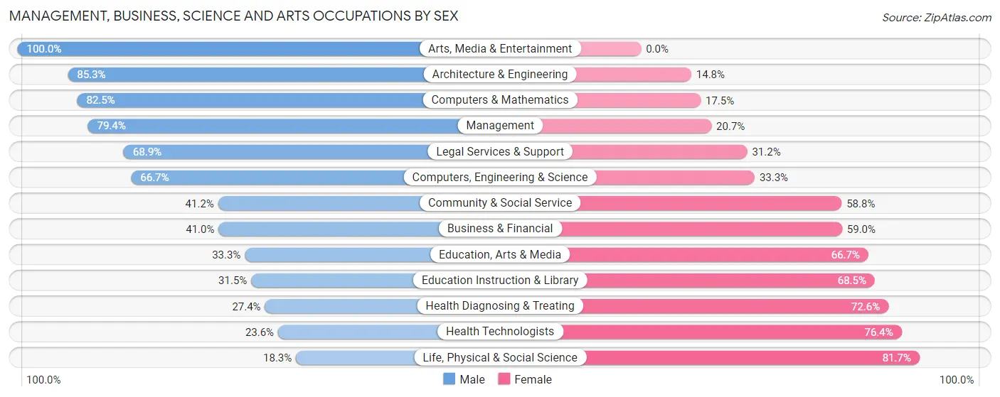 Management, Business, Science and Arts Occupations by Sex in Damascus