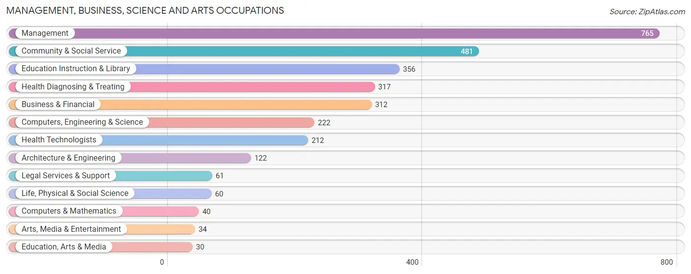 Management, Business, Science and Arts Occupations in Damascus