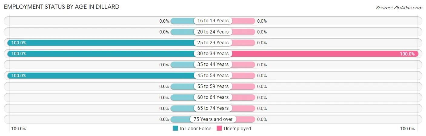 Employment Status by Age in Dillard