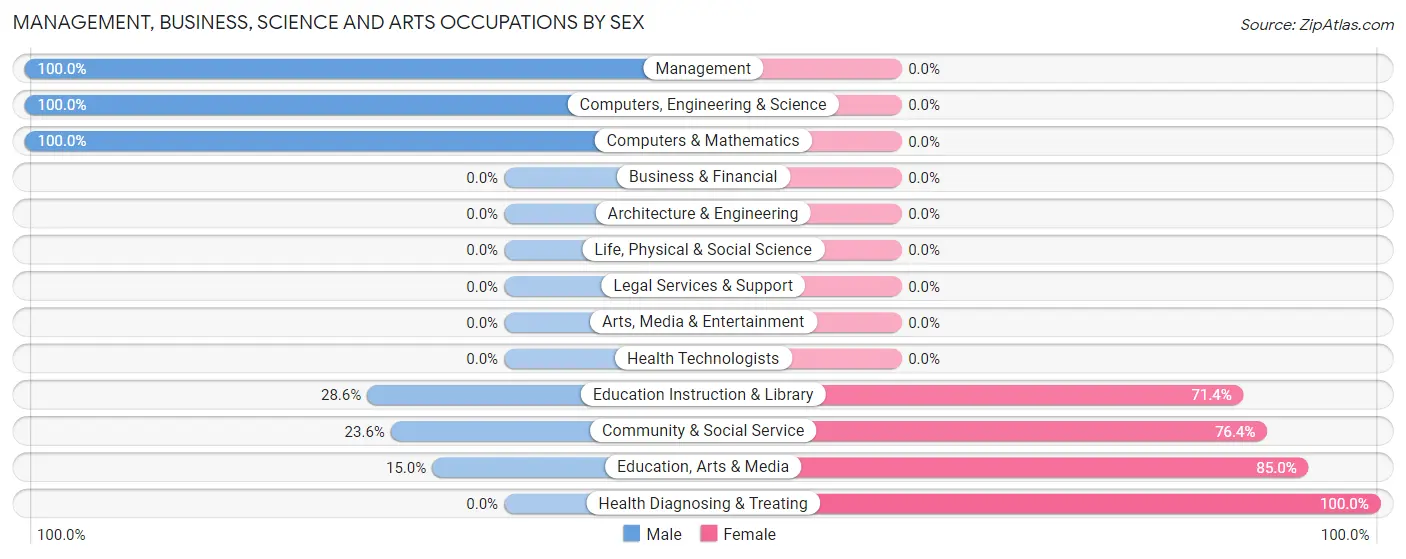 Management, Business, Science and Arts Occupations by Sex in Drain