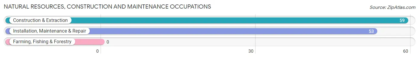 Natural Resources, Construction and Maintenance Occupations in Dundee