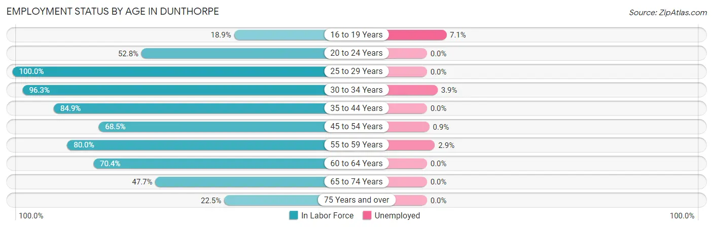 Employment Status by Age in Dunthorpe