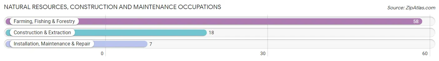 Natural Resources, Construction and Maintenance Occupations in Enterprise