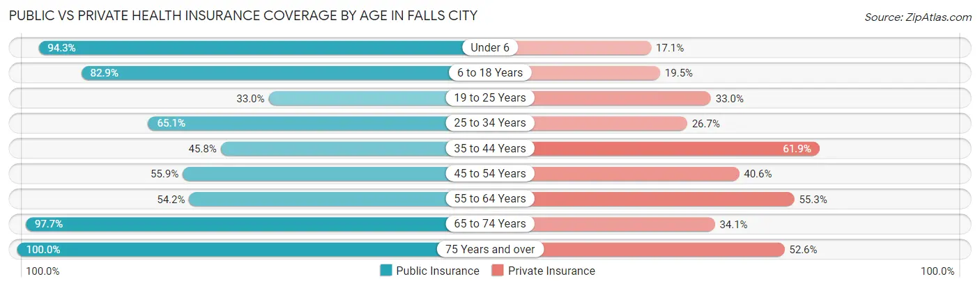 Public vs Private Health Insurance Coverage by Age in Falls City