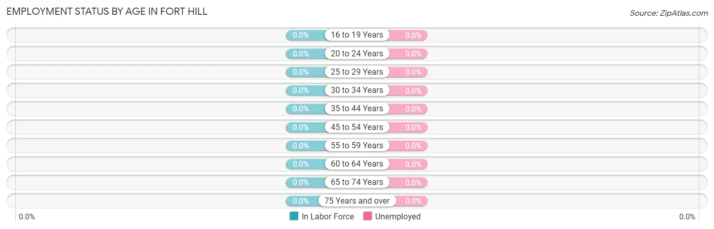Employment Status by Age in Fort Hill