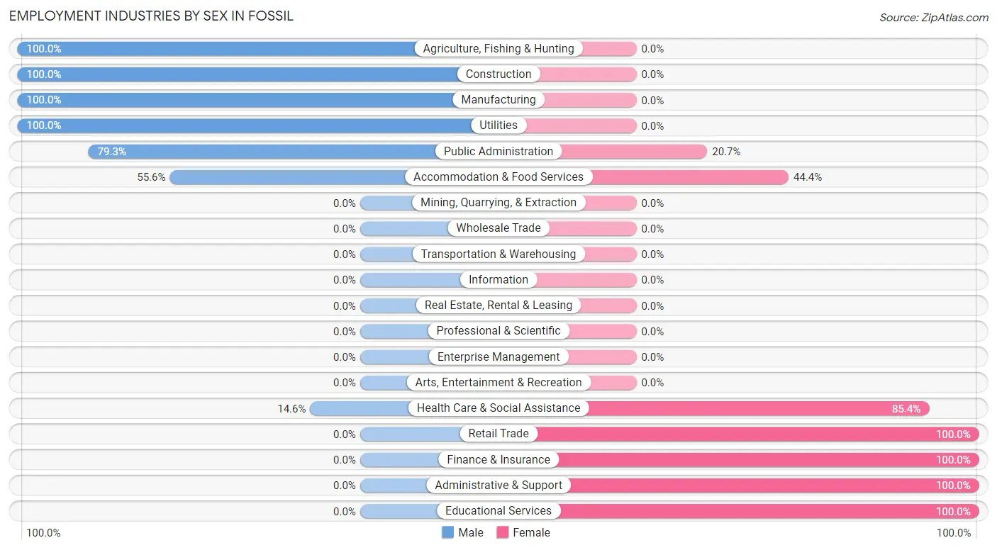 Employment Industries by Sex in Fossil