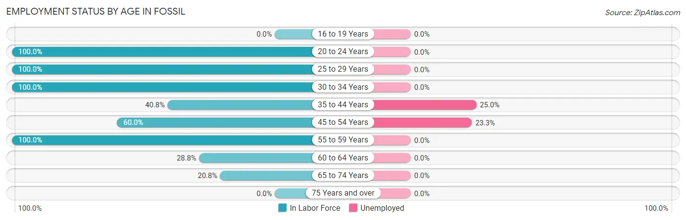 Employment Status by Age in Fossil