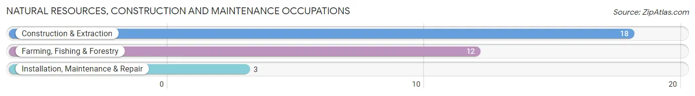 Natural Resources, Construction and Maintenance Occupations in Garibaldi