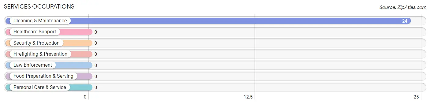 Services Occupations in Gaston