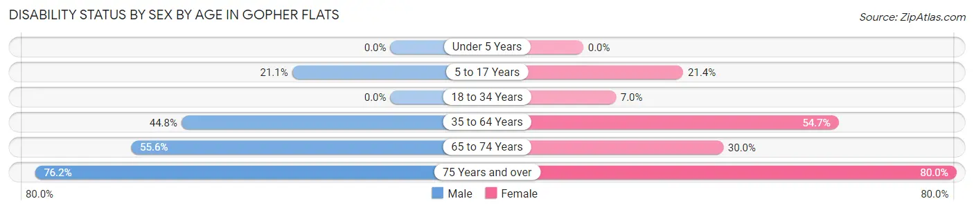 Disability Status by Sex by Age in Gopher Flats