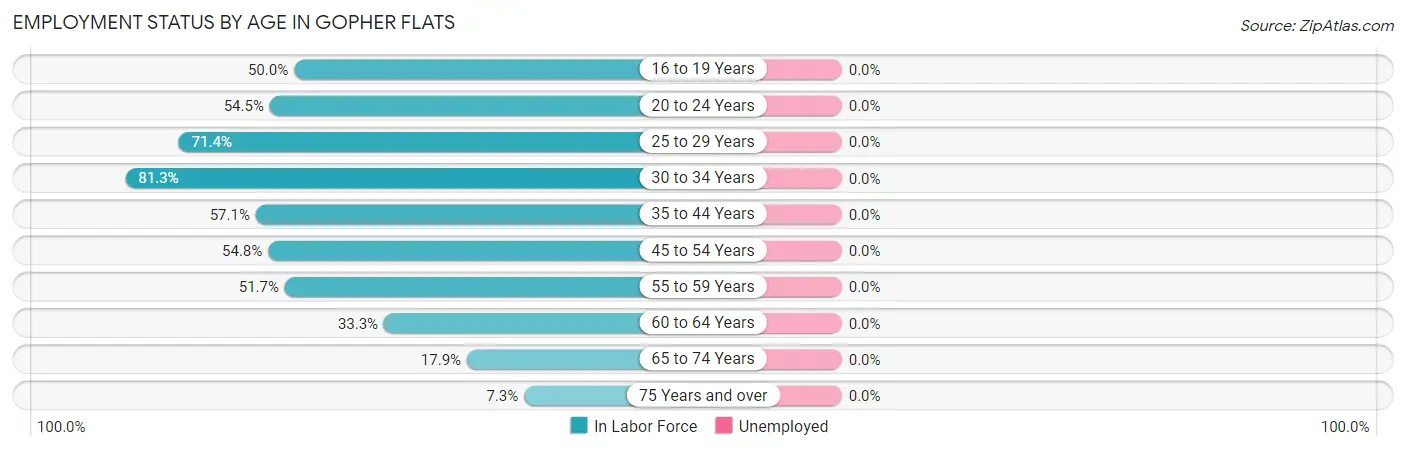 Employment Status by Age in Gopher Flats