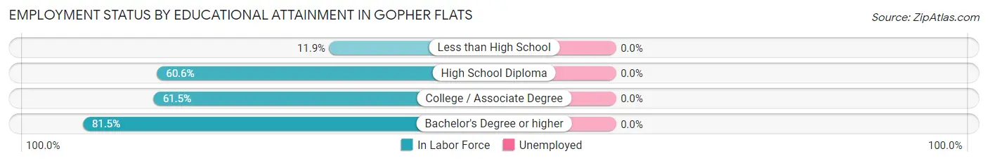 Employment Status by Educational Attainment in Gopher Flats