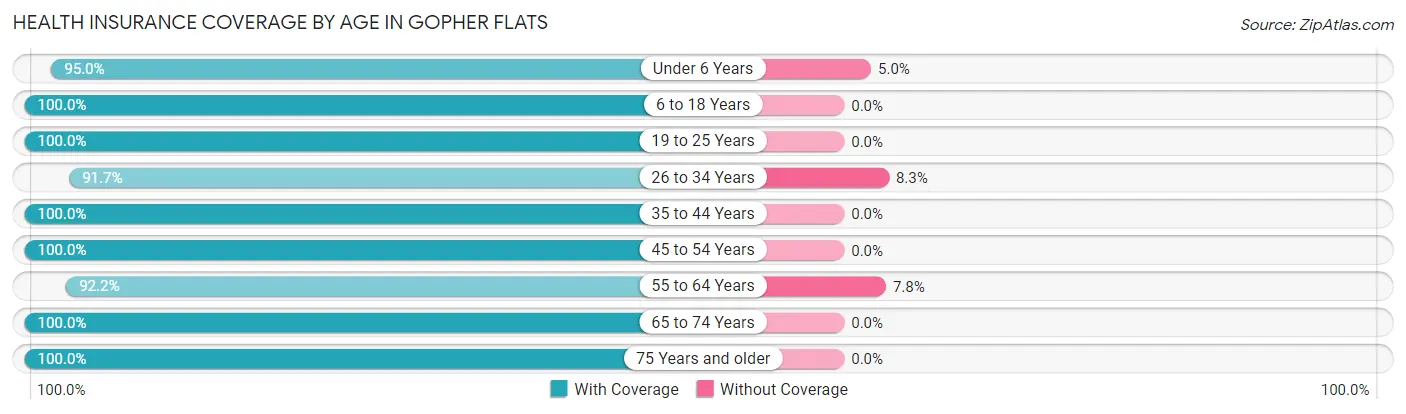 Health Insurance Coverage by Age in Gopher Flats