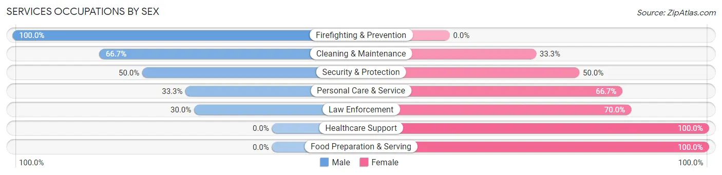 Services Occupations by Sex in Gopher Flats