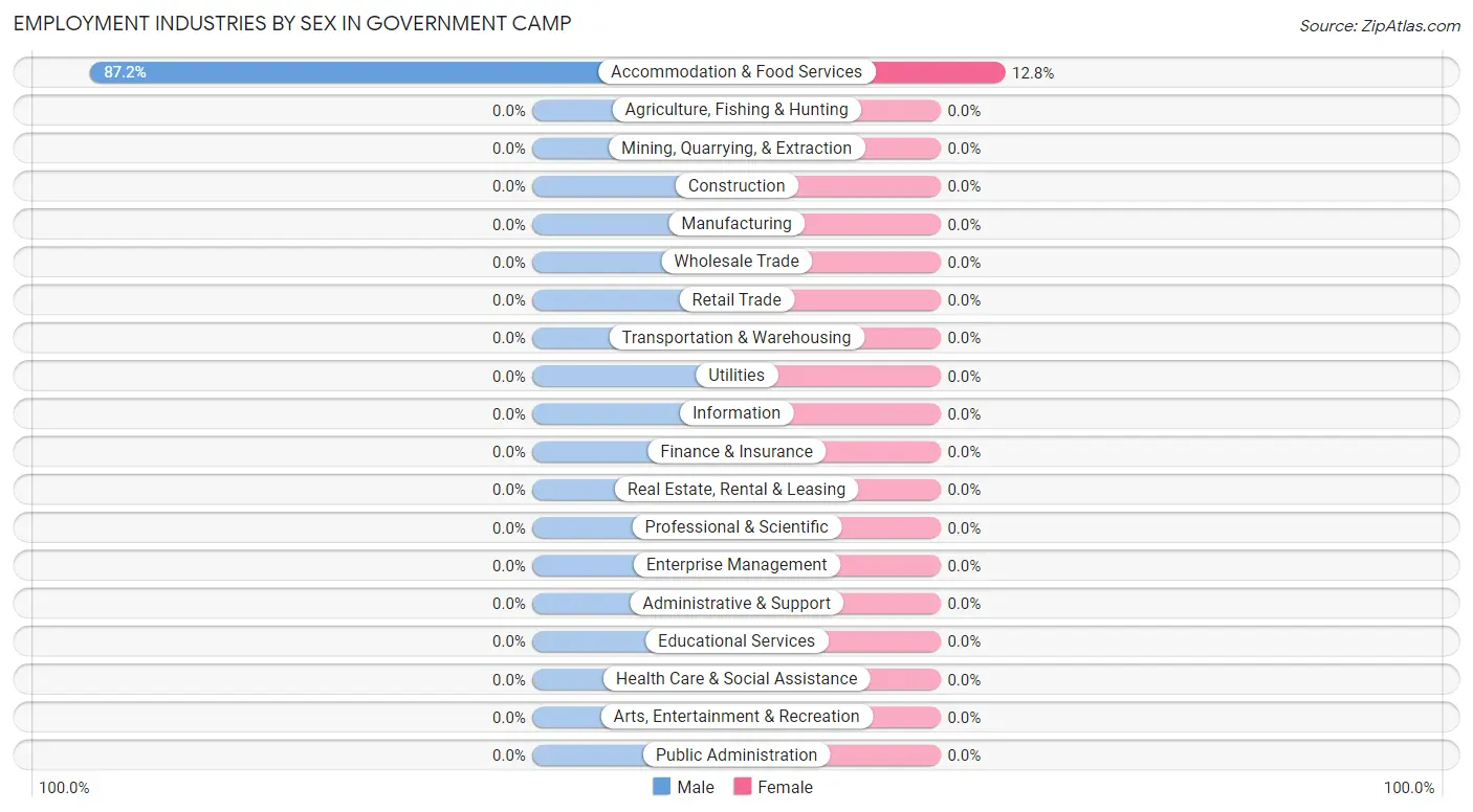 Employment Industries by Sex in Government Camp