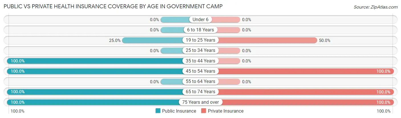 Public vs Private Health Insurance Coverage by Age in Government Camp