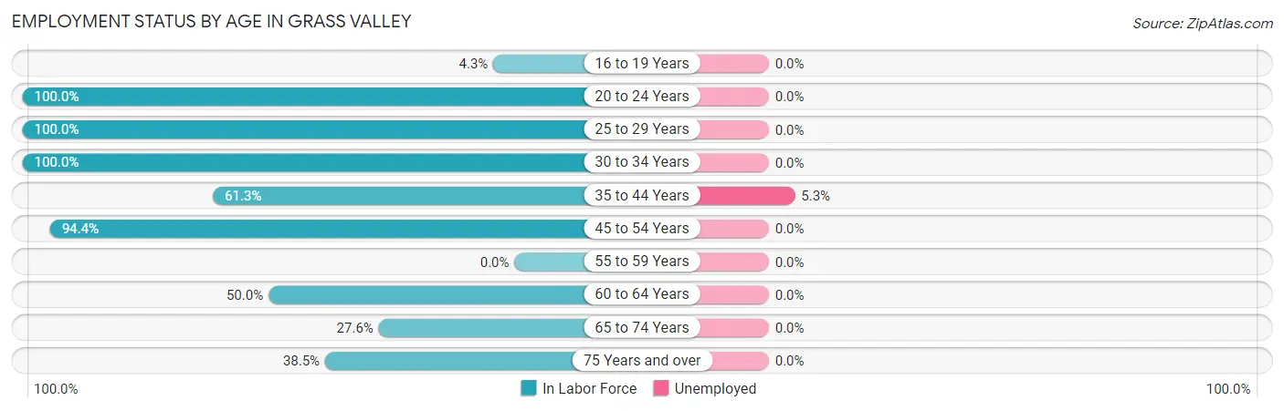 Employment Status by Age in Grass Valley