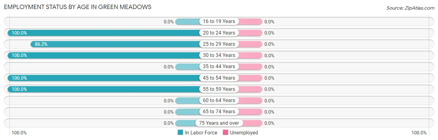Employment Status by Age in Green Meadows