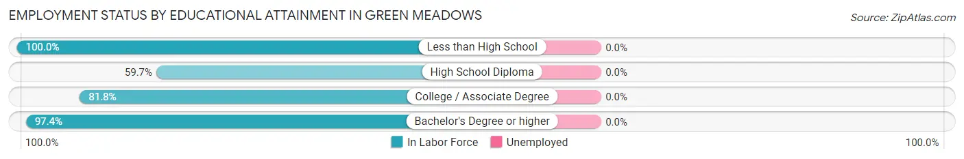 Employment Status by Educational Attainment in Green Meadows