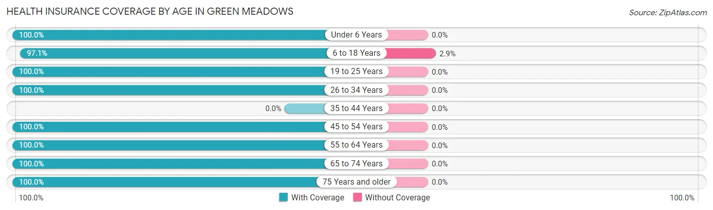 Health Insurance Coverage by Age in Green Meadows