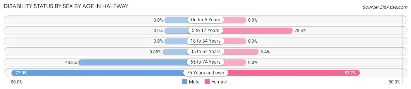 Disability Status by Sex by Age in Halfway